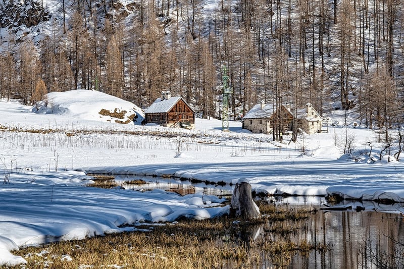 Enchanted Cabins